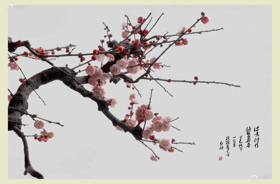 筑婷