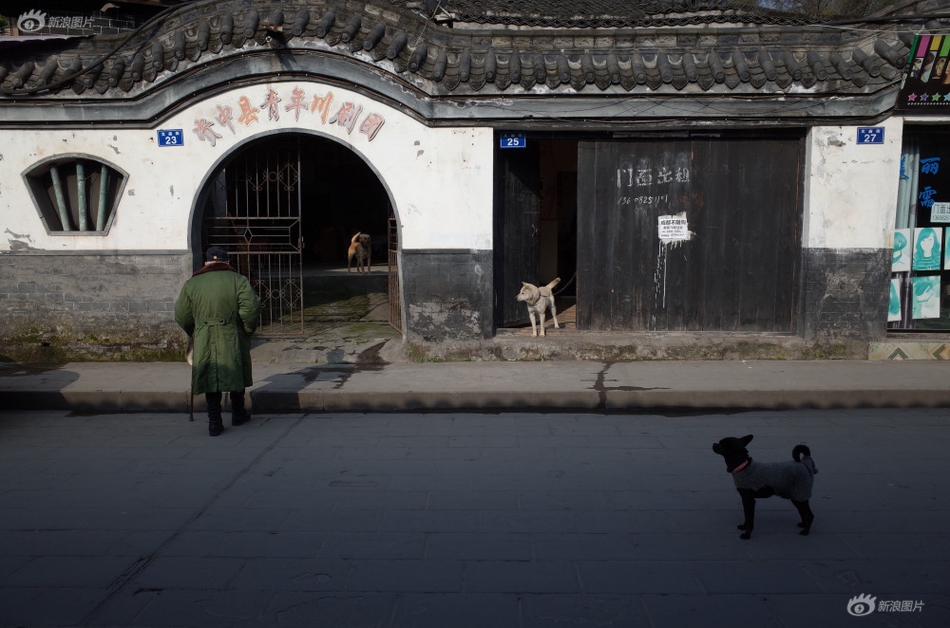 成人无码情人色情A片