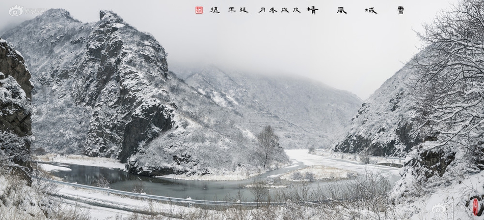 人成网视频