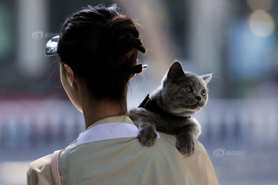 菲律賓女傭