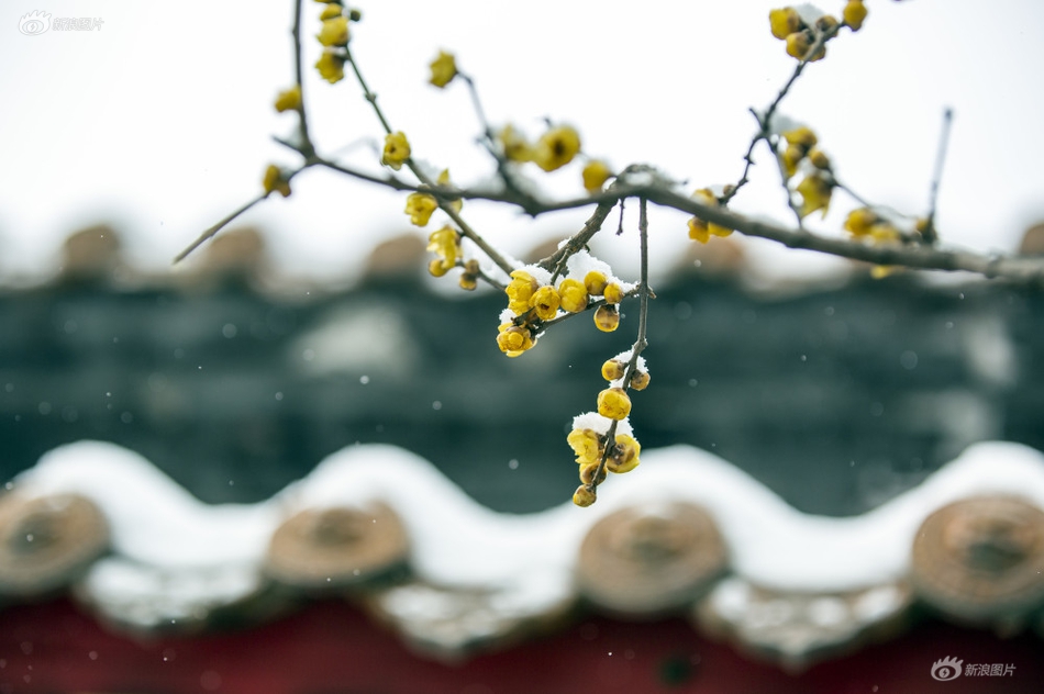 炕头淑芬撅起大白屁股