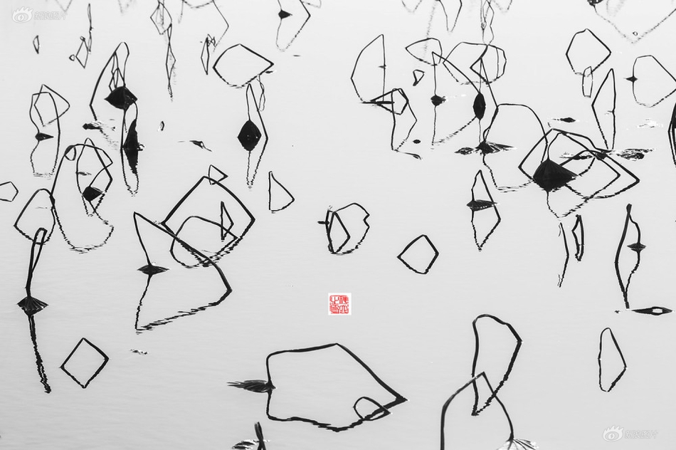 九九毛片