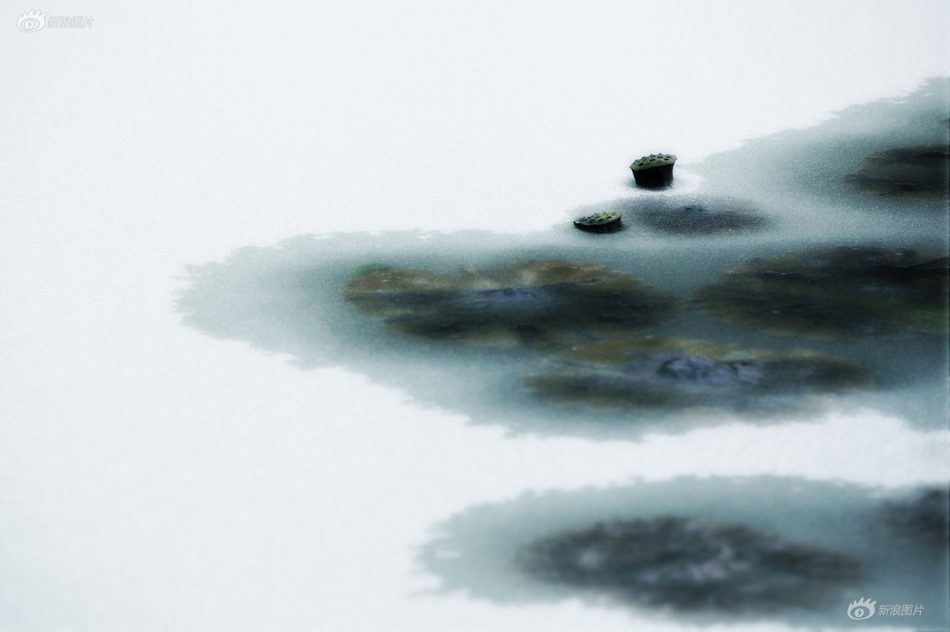 三级黄片A