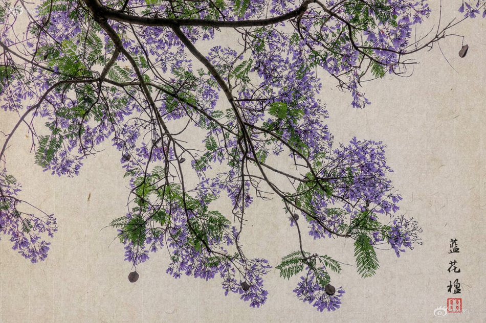 16Xxxx黄色网站