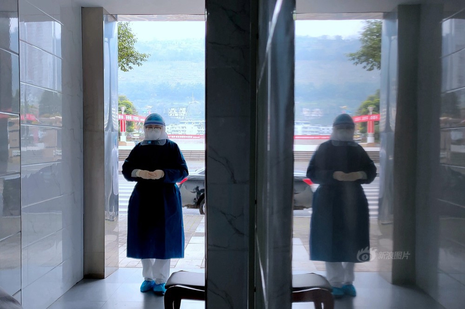 高井桃