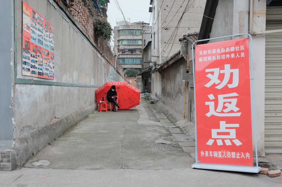 免费观看无需下载在线黄片