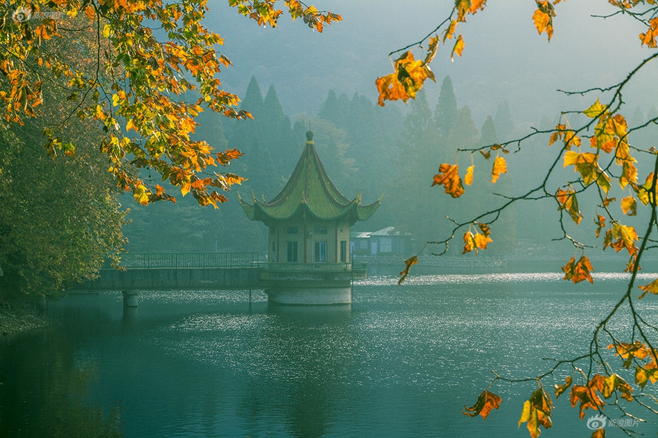 尤物yw193.coc在线影院