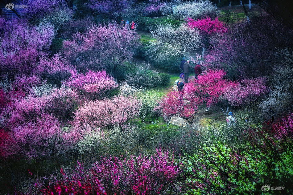 神津千絵子