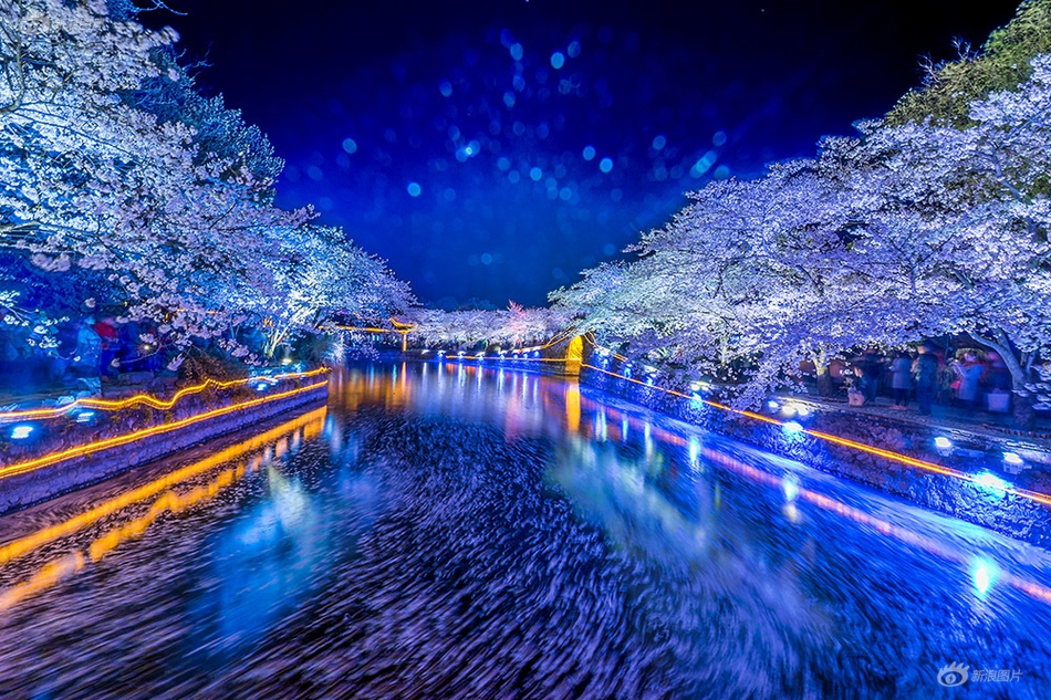 瀧本梨絵