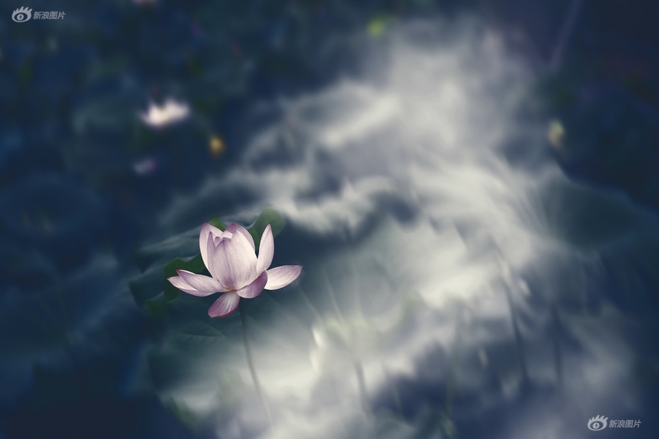 欧美日韩三级片