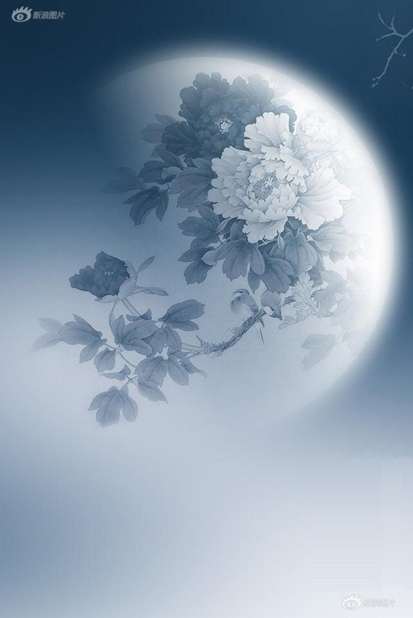 国产夫妻自拍一区