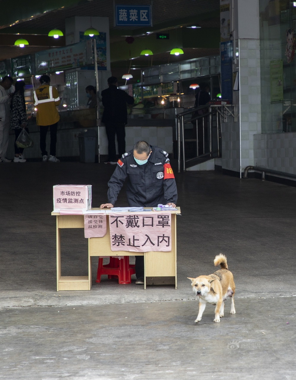 免费看的黄 网站
