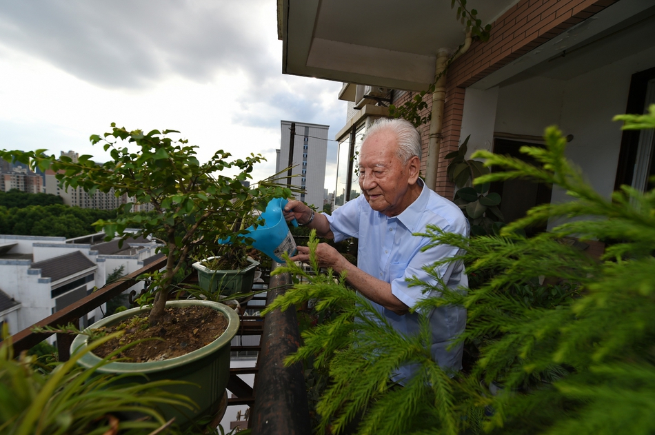 华人黄色网站