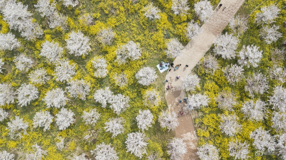 邱淑貞三級片