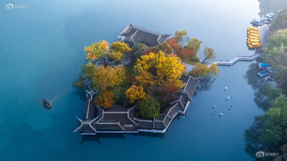 曰夲无码十免费