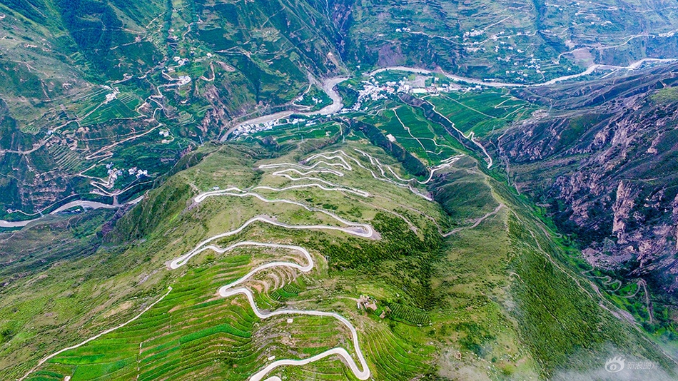 露胸软件