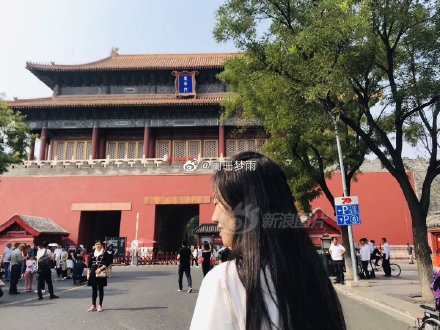 成人 视频免费观看网站