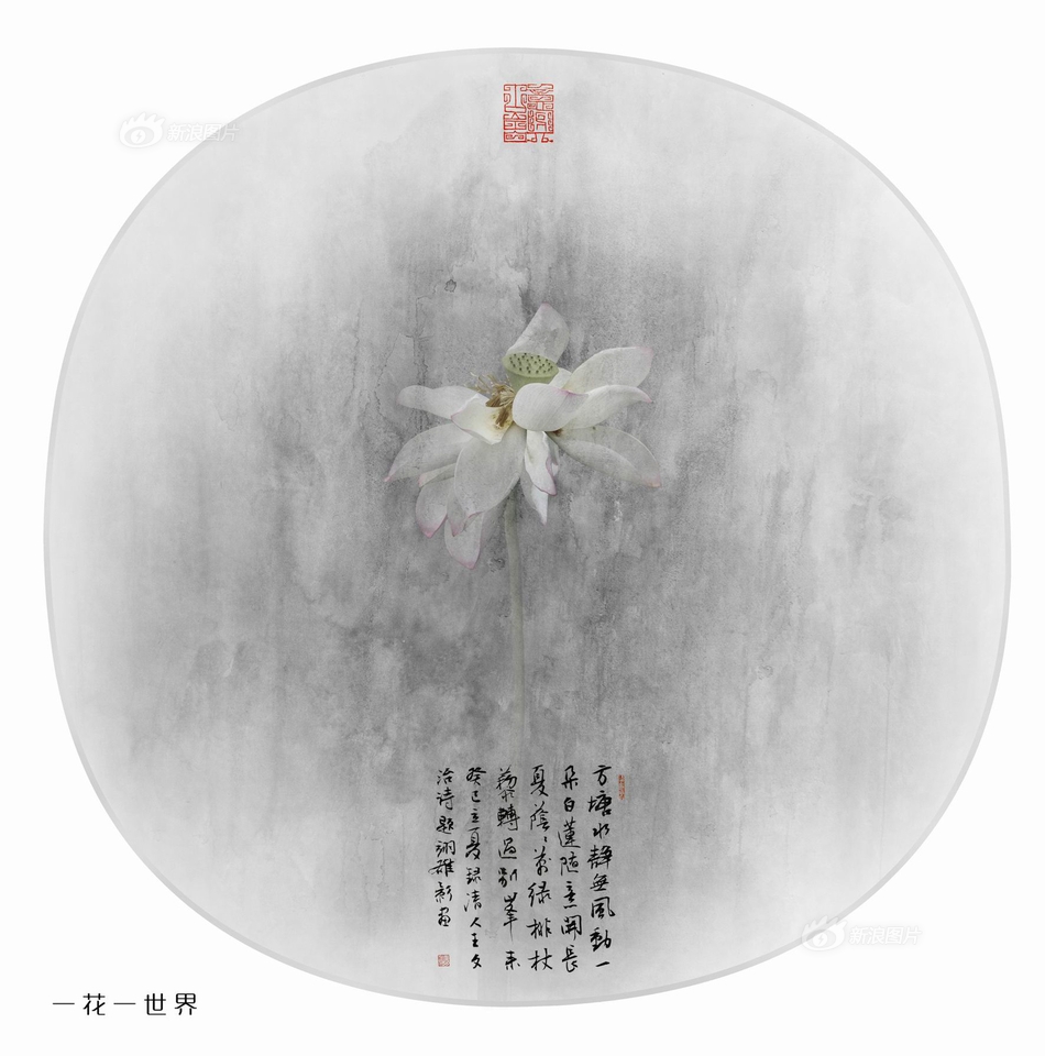 欧美性猛