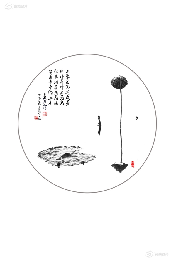 免费性爱试频