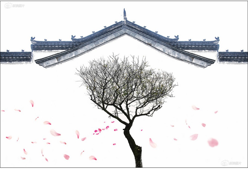 又大又粗又爽