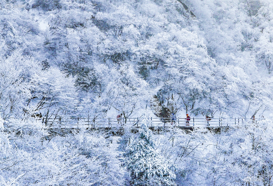 肉同性2012，在线观看与剧情介绍