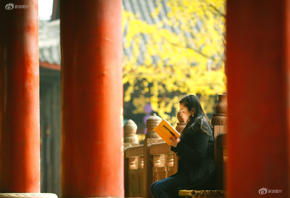日本美女神宫寺奈绪啪啪电影视频樱花电影