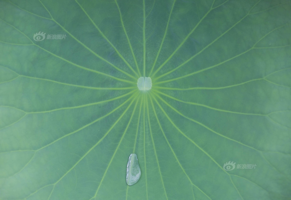 男同桌含着我的奶边摸边做动漫