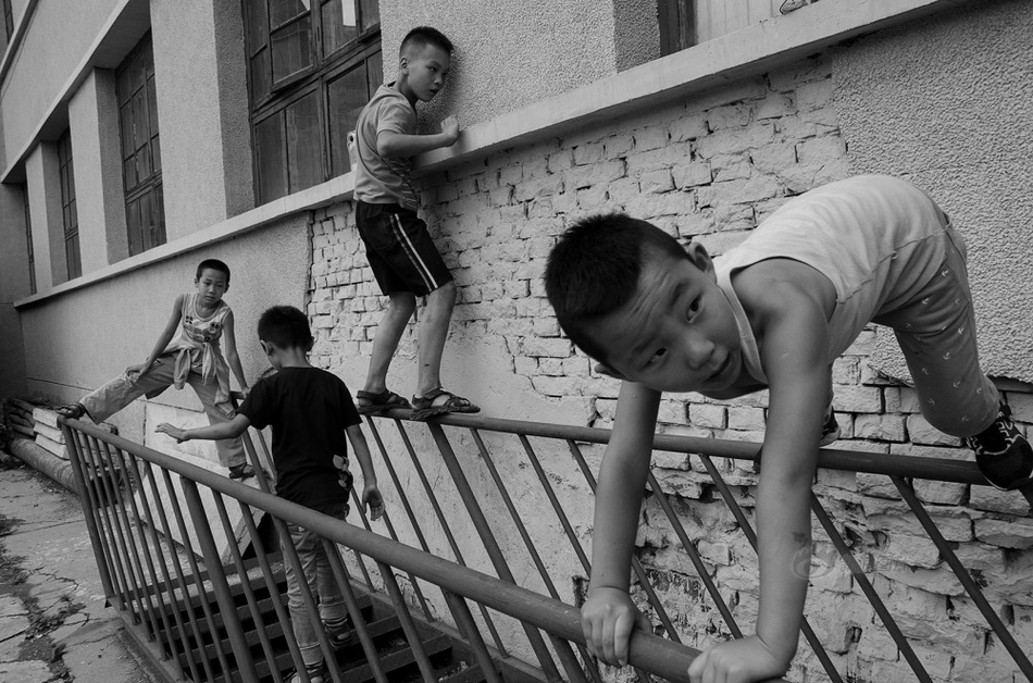 欧美人与兽Xxxx