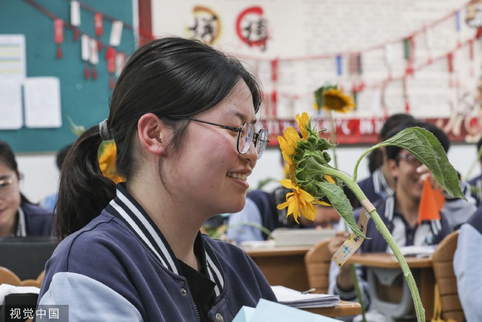 老董征战女神戴若曦