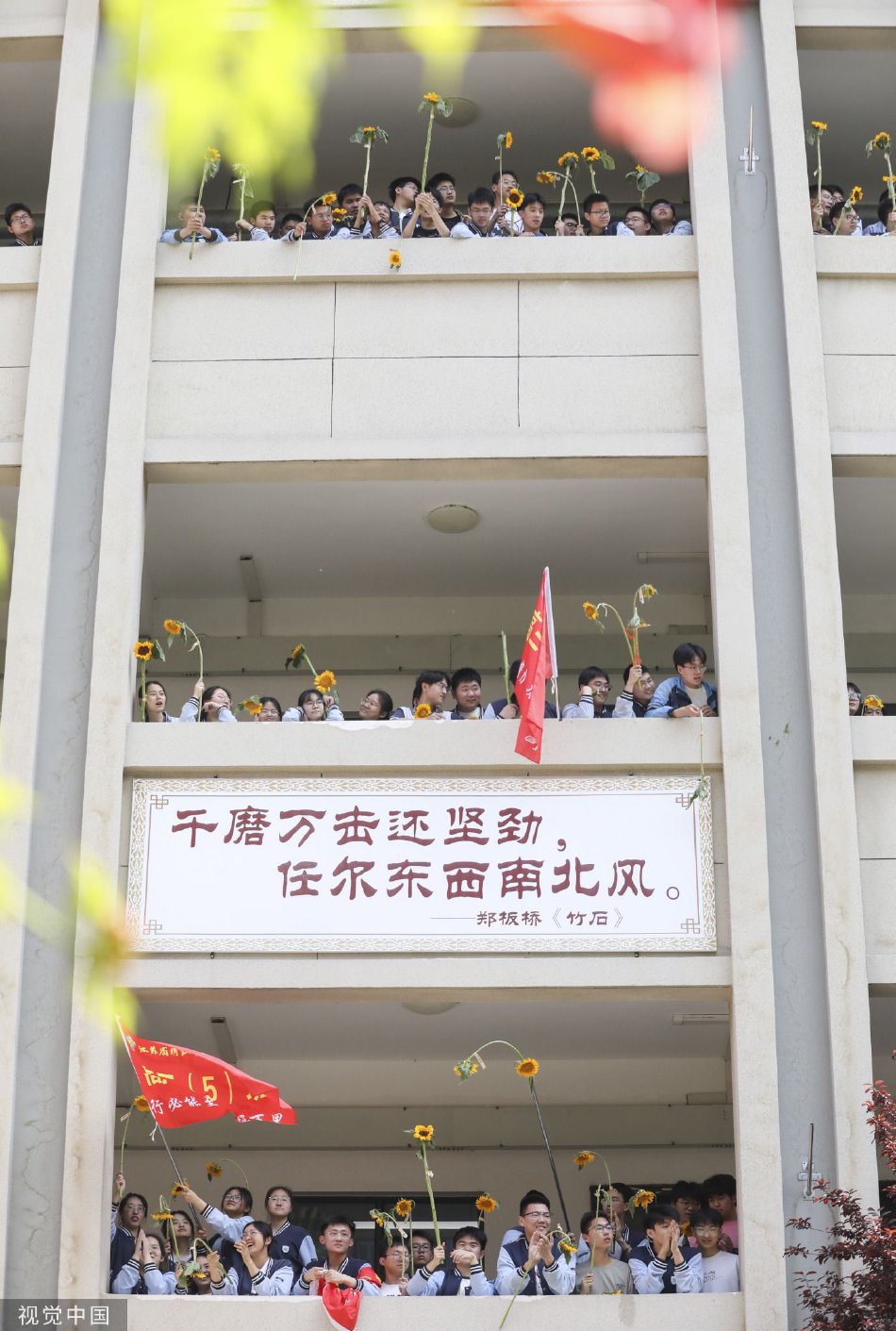 八重神子撕开内衣 吸奶头动漫