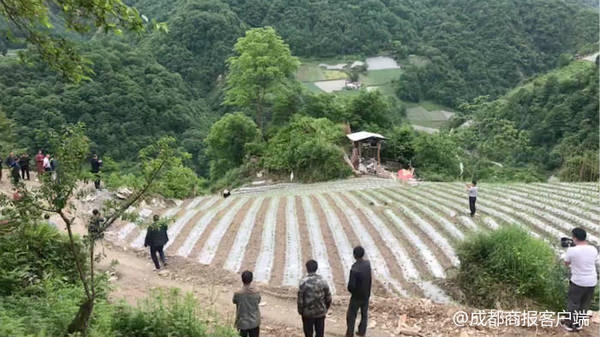 吃精