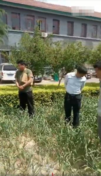 台湾黄色视频一级免费看