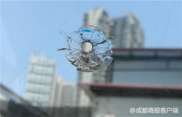 黄色网站、免费
