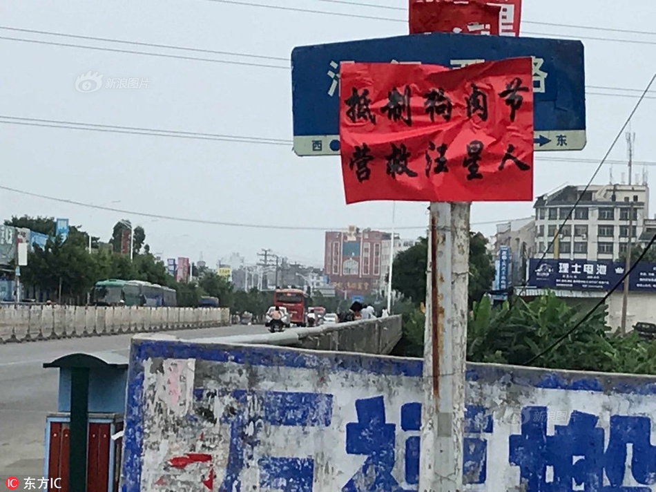 高清 成人 无码