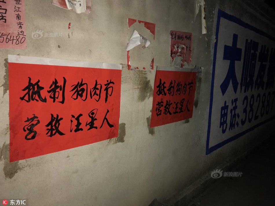 F丫Ee性欧美淫妇Xxⅹ