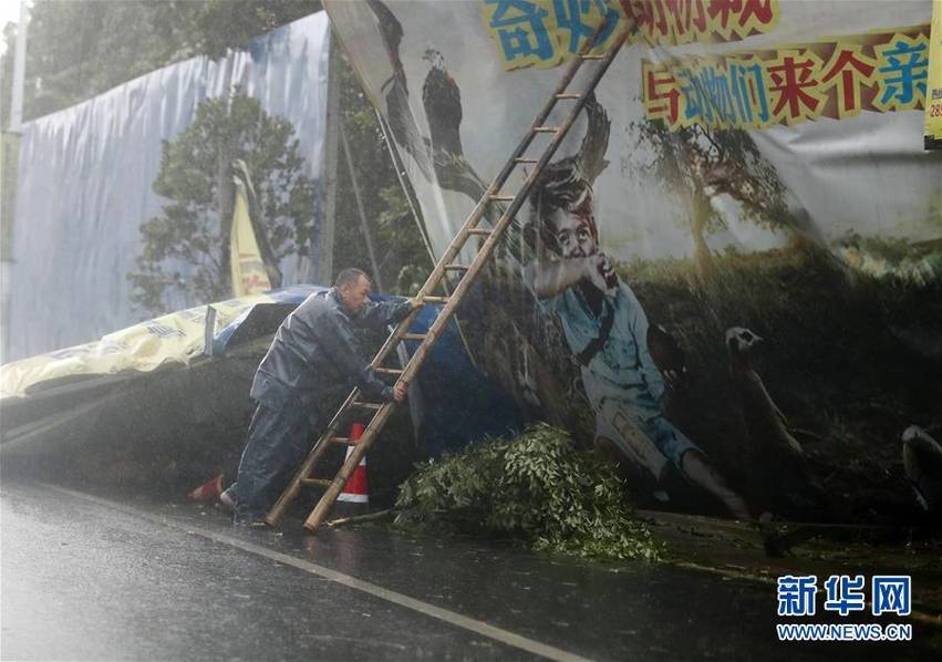 草逼软件