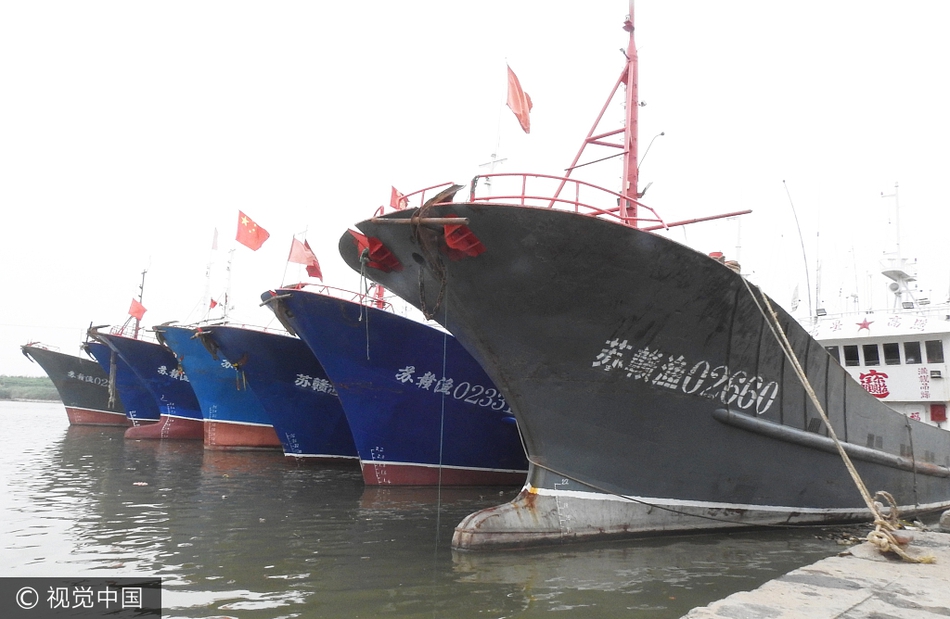 8x8x海外华人