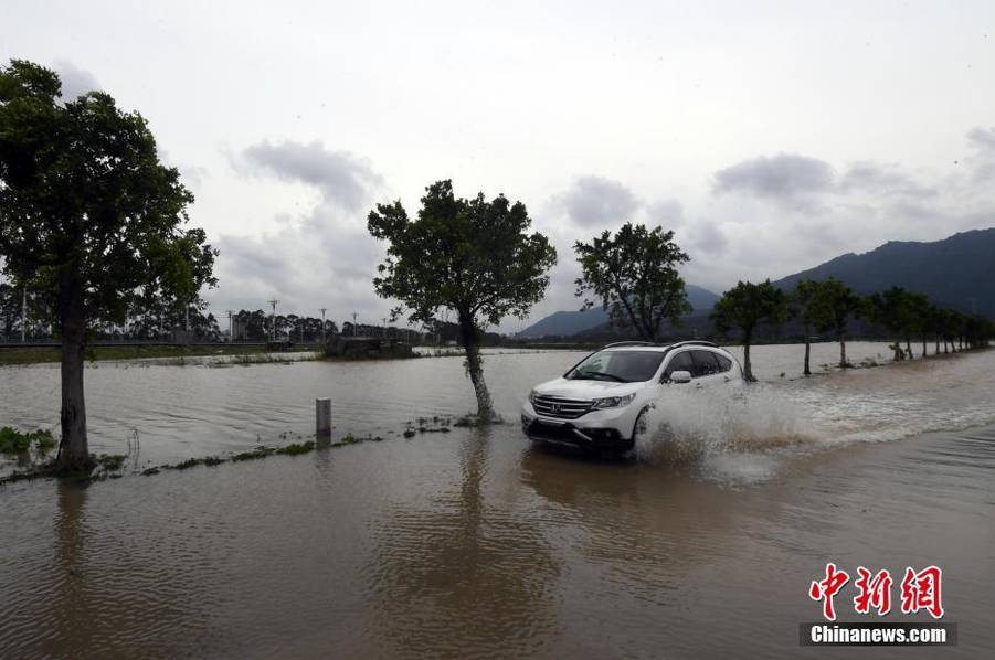 暴雨袭击福建漳浦 汽车被淹