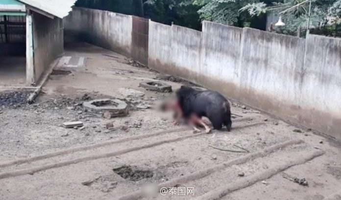好大 好爽 深一点我受不了动漫
