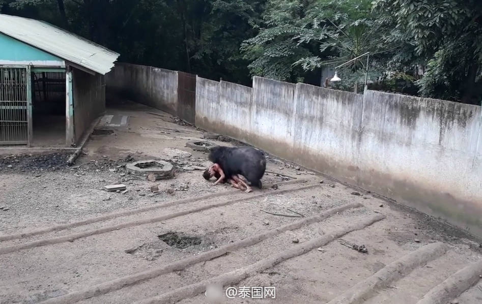 九九国产