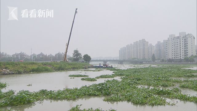 蜜色直播APP