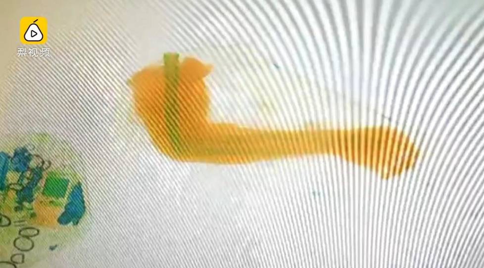 三男玩一女三A片