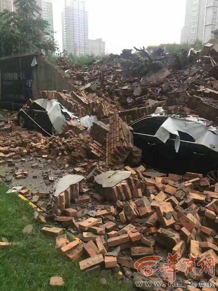 台灣薑母鴨露奶