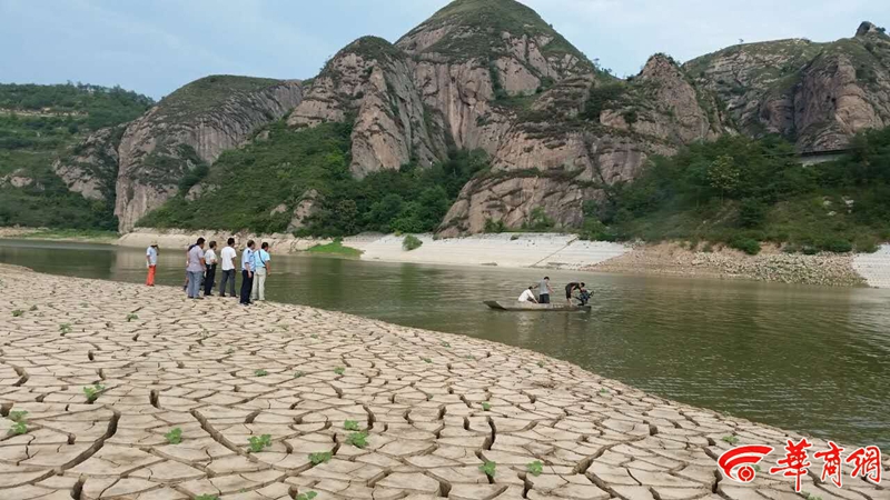 大橋未久