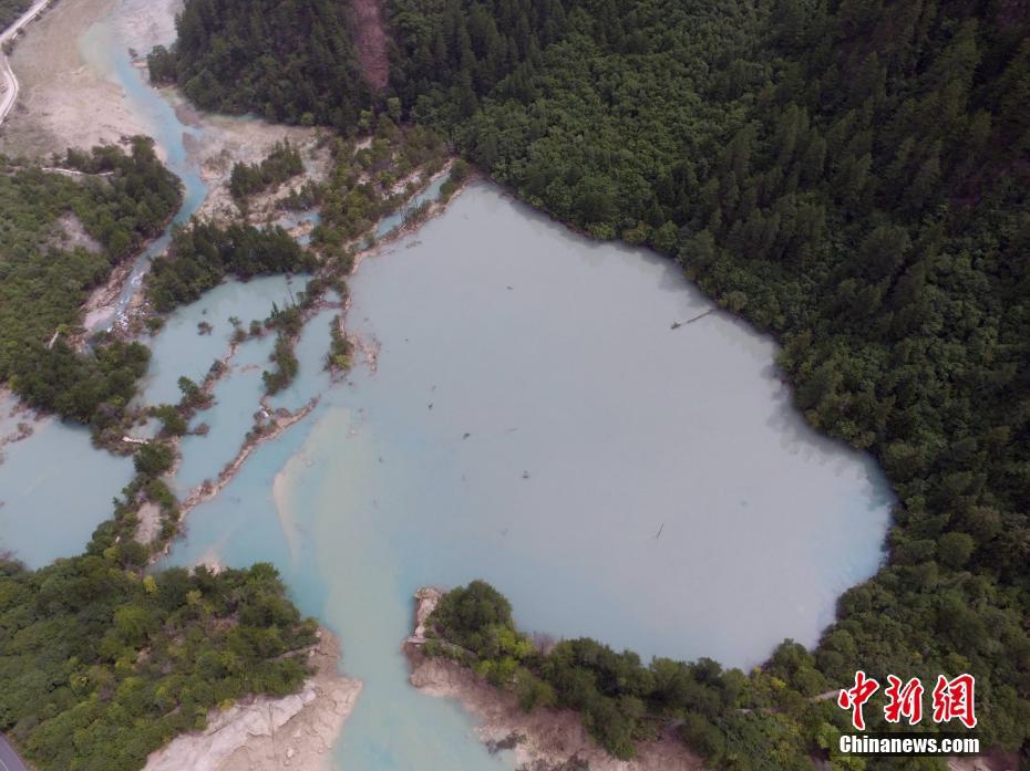 欧美无玛8