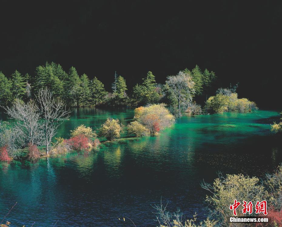 免费激情在线视频