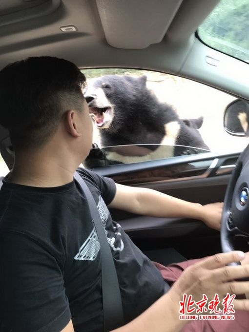 九九综合