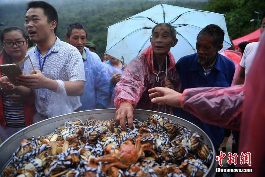 麻豆网站