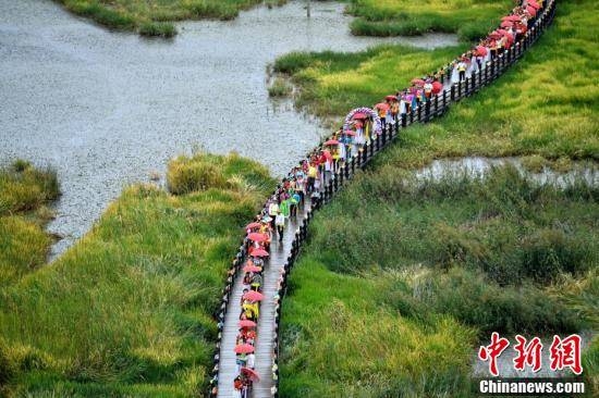 鲁大师在线看免费观看电视剧