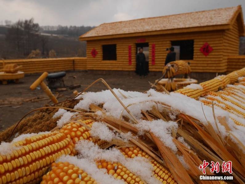 亚洲激情黄网